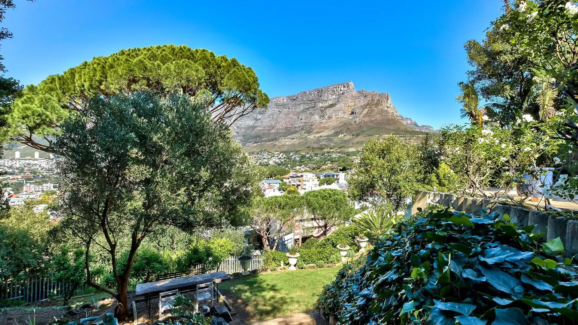 Spectacular 1 Bed Apartment Cape Town